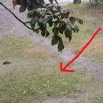 Semoga Pertanda Baik ! Hujan Es Melanda Dua Desa di Kabupaten Paser