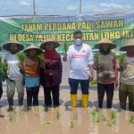 Tenaga Ahli Budisatrio Djiwandono Ikut Tanam Padi Perdana di Desa Tajur