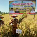 Selain Batu Bara, Sektor Pertanian Perlu Mendapat Perhatian