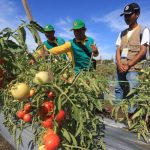 Fraksi AKB: Triple Agro Layak Dikembangkan di Kutim