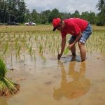 Hari Pangan Sedunia, Safaruddin Dorong Wujudkan Kemandirian dan Ketahanan Pangan di Kaltim