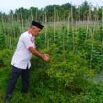 Budiono Minta Pemkot Bantu Kelompok Tani Kesulitan Modal untuk Tingkatkan Produksi