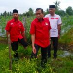 Kunker ke Balikpapan,  Anggota DPR RI Safaruddin Tinjau Lahan Pertanian di Balikpapan Timur