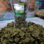 Usaha Kerupuk Kelor, Produk Andalan Desa Kendarom