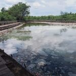 Kolam Air Panas Danum Layong, Dipercaya Masyarakat Bisa Sembuhkan Penyakit Kulit