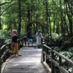 Obyek Wisata Mangrove Lati Tuo Dipadati Pengunjung Setiap Akhir Pekan