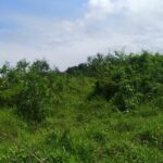 Terbengkalai, Sabaruddin Usulkan Lahan Eks Puskib Dijadikan Bendali dan RTH