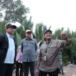 Wamenkeu dan Kepala BRGM Lihat Kondisi Mangrove di Kaltim