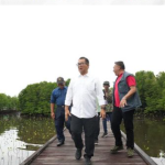 Akmal Dukung Pusat Konservasi Mangrove Bontang Jadi Wisata Terpadu