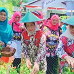 Kunjungi Balikpapan, Pj Ketua TP PKK Kaltim Saksikan Peluncuran Program B2SA