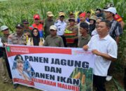 Lahan Tidur Disulap Jadi Lumbung Pangan, Bupati Kukar Panen Jagung dan Ikan di Maluhu