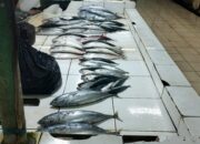 Muara Badak Dorong Perikanan Berkelanjutan lewat Penguatan Infrastruktur dan Lingkungan