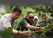 Wagub Seno Aji Optimis Kopi Luwak Prangat Baru Marangkayu Menembus Pasar Ekspor