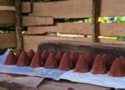 Desa Lebaho Ulaq Dorong Ekonomi Lokal Lewat Gula Merah dan Ekowisata Terpadu