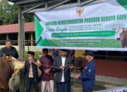 Bupati Kukar Serahkan Sapi Kurban Presiden Prabowo di RPH Mangkurawang