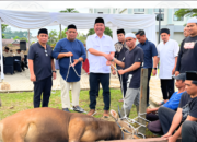 Sekretariat DPRD Kaltim Gelar Salat Iduladha dan Kurban 7 Ekor Sapi