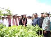 Gubernur Kaltim Dorong Brigade Pangan Jadi Motor Swasembada Pangan 2025