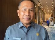 Reboisasi Jadi Solusi Utama Atasi Banjir dan Sedimentasi Sungai Mahakam