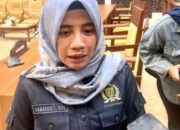 Ketimpangan Mutu Sekolah Masih Jadi Masalah Utama PPDB di Kaltim