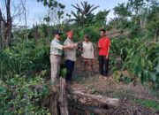 Desa Jonggon Jaya Kembangkan Potensi Kopi hingga Pertanian Padi