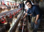 Wabup Kukar Rendi Solihin Resmikan BUMDes Batuah Prima Mandiri Loa Janan