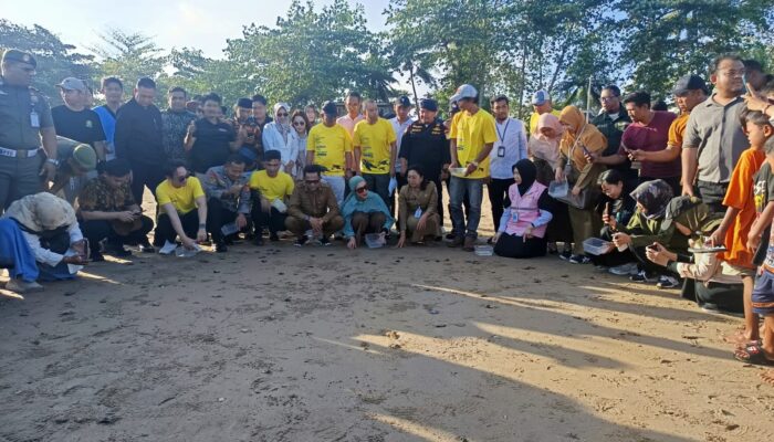 Wali Kota Rahmad Mas’ud Apresiasi Pelepasan 80 Tukik Penyu Lekang di Pantai DEB Balikpapan