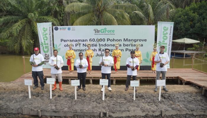 Nestlé Tanam 60.000 Mangrove di Paser, Perkuat Rehabilitasi Pesisir dan Target Net Zero 2050