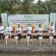 Nestlé Tanam 60.000 Mangrove di Paser, Perkuat Rehabilitasi Pesisir dan Target Net Zero 2050